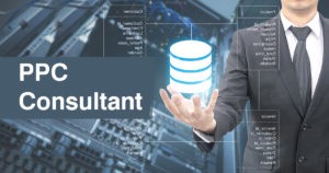 Ppc consultant 1
