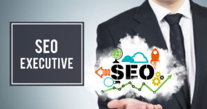 Seo executive