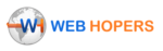 Top 20 Pay Per Click Agencies In India Ppc agencies