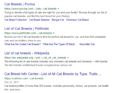 Seo In 2026: Beyond Keywords And Rankings Google search for cat breeds