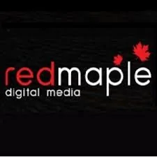 Top 11 Digital Marketing Companies In Chennai Digital marketing company in chennai - red maple