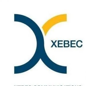 Top 11 Digital Marketing Companies In Pune Xebec