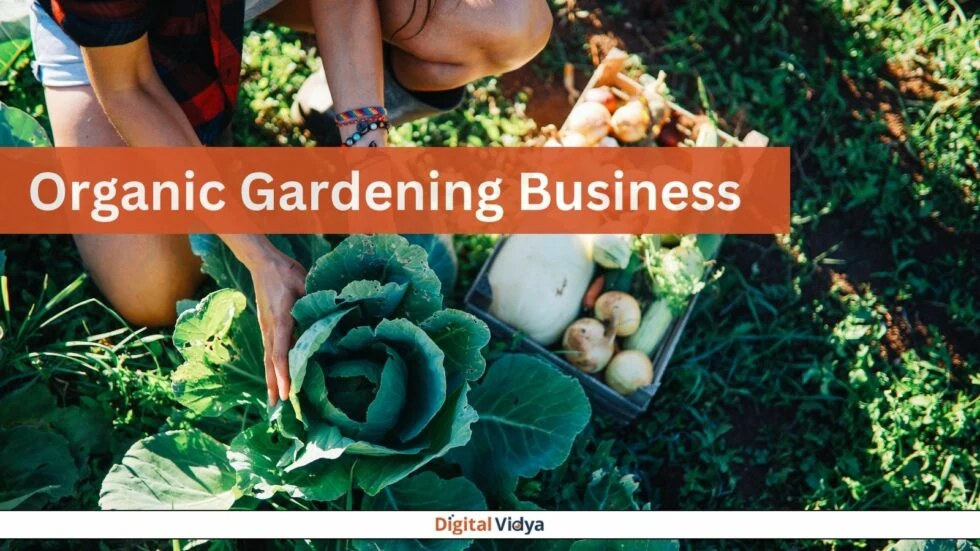 Top 30 Business Ideas In Delhi Organic gardening business in delhi