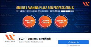 Must Watch 20+ Indian Social Media Success Stories Social media success story of scjp