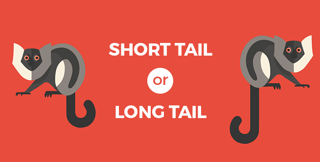 Long Tail Keywords: A Key To Rank Higher Short long tail keywords