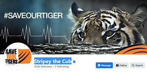 Must Watch 20+ Indian Social Media Success Stories Social media success story of stripeythecub