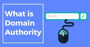 What is doman authority